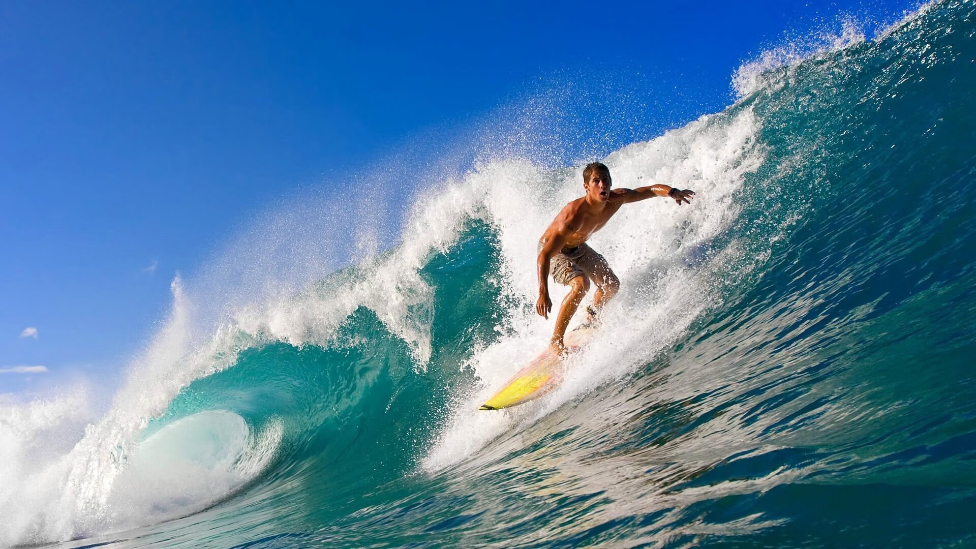 欧冠八强：利物浦遭遇本菲卡 青训体系与传统豪门历史再度对接